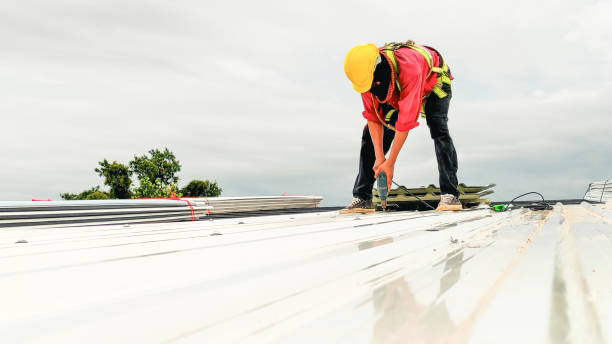 Best Asphalt Shingle Roofing  in Bardstown, KY