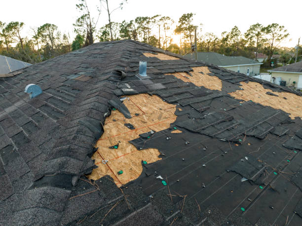 Best Rubber Roofing (EPDM, TPO)  in Bardstown, KY