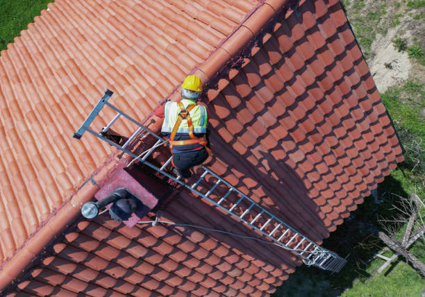 Best Roof Ventilation Installation  in Bardstown, KY